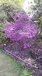 Dag 5 botanische tuin
