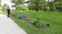 Dag 5 botanische tuin