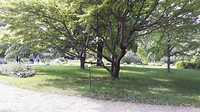 Dag 5 botanische tuin