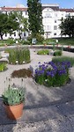 Dag 5 botanische tuin