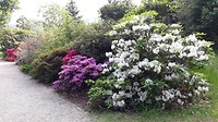 Dag 5 botanische tuin