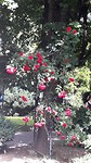 20190528_154153