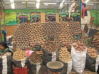 Allerlei soorten aardappelen
