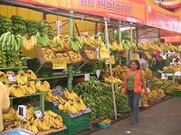 Verschillende Bananen