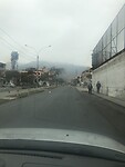 Olivos