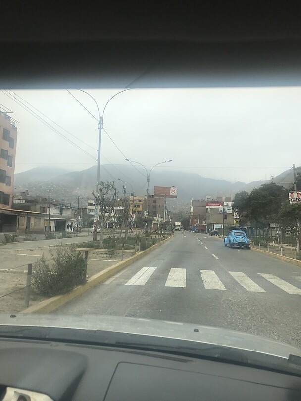 Olivos