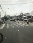 Olivos