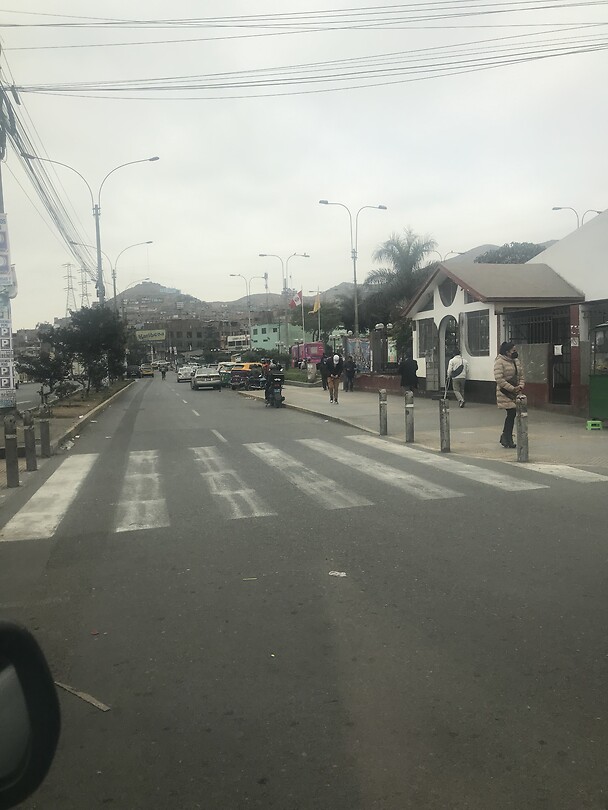 Olivos