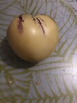 Pepino fruitsoort met de smaak van ananas en banaan