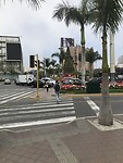 Kerstboom in Miraflores