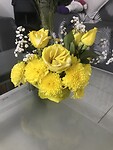 IMG_9286