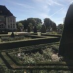 IMG_7018