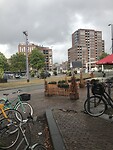 IMG_7113