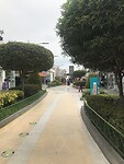 IMG_8285