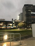 IMG_8439