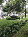 IMG_8677
