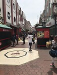IMG_8832