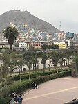 IMG_9139