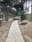 IMG_9149