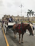 IMG_9174