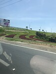 IMG_9351