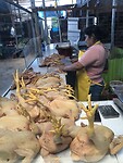 IMG_9634