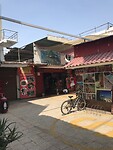 IMG_9839