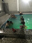 IMG_0153