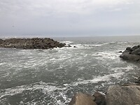 IMG_0375