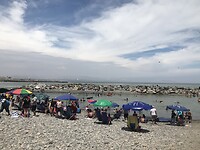 IMG_0446