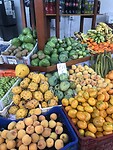 IMG_1601