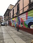 IMG_1618