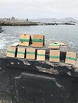 IMG_1651