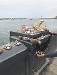 IMG_1652