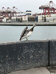 IMG_1657