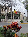 IMG_20231017_110743_Original