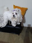 IMG_20231010_173423_Original