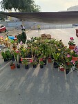 IMG_20231002_164813_Original