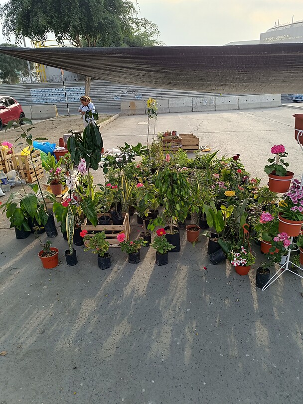 IMG_20231002_164813_Original