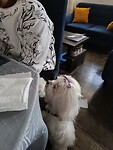 IMG_20231011_143531_Original