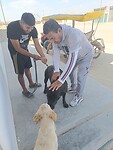 IMG_20231110_141836_Original