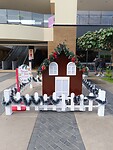 IMG_20231128_154828_Original