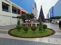 IMG_20231128_154929_Original