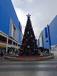 IMG_20231128_154957_Original