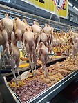 IMG_20231222_112139_Original