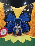 IMG_20240203_192807_Original
