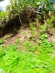 IMG_20240313_150427_Original