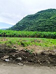 IMG_20240315_132438_Original