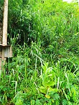 IMG_20240314_082615_Original