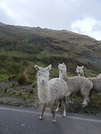 IMG_20240313_154112_Original